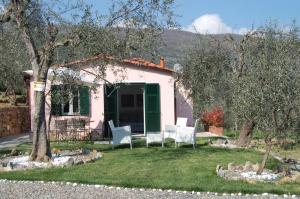 A garden outside Casa vacanze gli ulivi