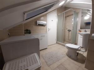 een badkamer met een toilet, een wastafel en een douche bij Apartman Joy in Pasuljište