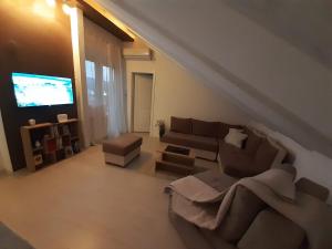 een woonkamer met een bank en een tv bij Apartman Joy in Pasuljište