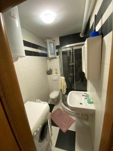 Koupelna v ubytování Miško Apartmani