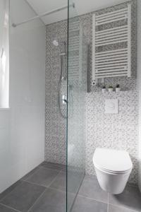 a bathroom with a toilet and a glass shower at B & R Summer breeze apartments in Nin