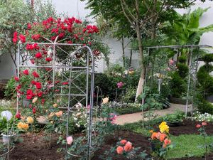 Giardino di Guest House Smile