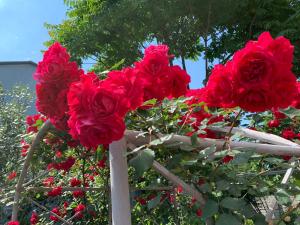 Giardino di Guest House Smile