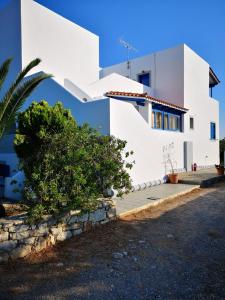 a white house with a palm tree in front of it at Mylos Garden in Livadi