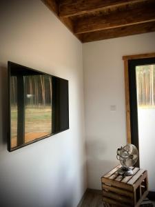 Televízia a/alebo spoločenská miestnosť v ubytovaní Sworna łąka z zewnętrznym SPA- sauna, jacuzzi, balia