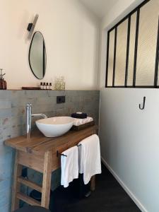 een badkamer met een wastafel en een spiegel bij B&B Miranoza in Oud-Heverlee