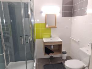 a bathroom with a shower and a sink and a toilet at LE CHAPON BRESSAN in Branges
