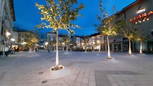 a street with trees in the middle of a city at night at Apartman Pio in Senj