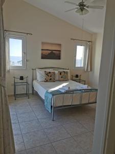 a bedroom with a large bed and two windows at Villa Vista in Paphos