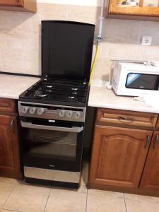 Η κουζίνα ή μικρή κουζίνα στο Golden Apartman