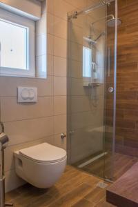 a bathroom with a toilet and a glass shower at Apartman Joso 3 in Sukošan +6 photos
