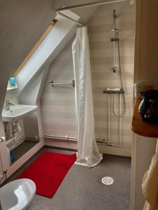 a bathroom with a shower and a red rug at Yxnaholma Rum in Höör