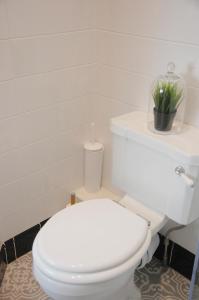 a white toilet with a plant on top of it at Joseph's Loft in York +15 photos