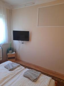 A television and/or entertainment centre at Thermál Apartman Tiszafüred
