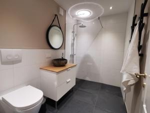 ein Badezimmer mit Toilette und Spiegel in der Unterkunft Ferienwohnung Gipfelstürmer in Bad Harzburg + 5 Fotos