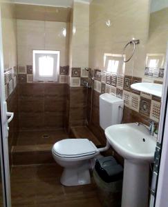 een badkamer met een toilet, een douche en een wastafel bij Casa Benny in Costinesti