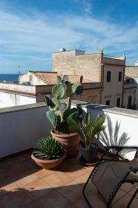 d'un balcon avec des cactus et des plantes sur le toit. dans l'établissement La Suite di Dolores, à Balestrate