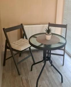 una mesa y dos sillas con una maceta. en BoNiToS, SOBE-ROOMS en Slavonski Brod
