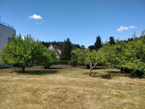 Gallery image of Laheveere in Värska