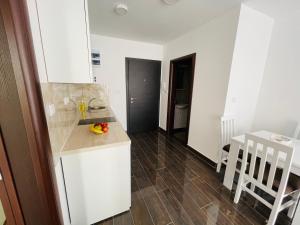una cucina con lavandino e piano di lavoro di Apartmani Zivkovic Srebrno Jezero a Veliko Gradište Altre 10 foto