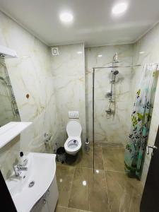 e bagno con servizi igienici, doccia e lavandino. di Apartmani Zivkovic Srebrno Jezero a Veliko Gradište
