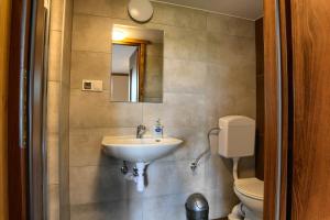 a bathroom with a sink and a toilet at Ośrodek Wypoczynkowy u Bartka in Czerwienne +62 photos