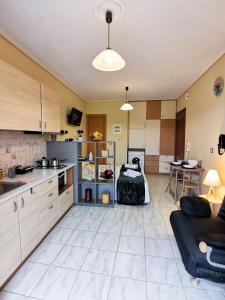 Kuchyň nebo kuchyňský kout v ubytování Serenity LX Apartments