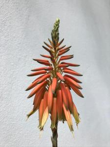 Fotografie z fotogalerie ubytování In Giardino B&B v destinaci Cassina deʼ Pecchi