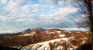 Gallery image of Hotel Piatra Craiului in Predeal +41 photos