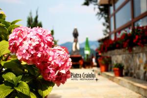 Gallery image of Hotel Piatra Craiului in Predeal