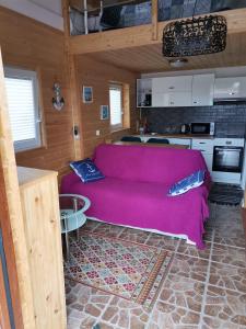 ein Wohnzimmer mit einem rosa Sofa und einer Küche in der Unterkunft Apartament Wolin nad wodą koło Miedzyzrdrojów in Wolin