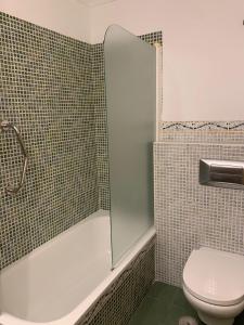 W łazience znajduje się toaleta i przeszklony prysznic. w obiekcie apartamento centrico silencioso w mieście Nerja +17 zdjęć