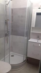 a bathroom with a shower and a toilet and a sink at Studio - Marina 4 - 17 allée des Pinons - 2-1 in Saint-Jean-de-Monts