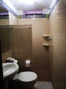 uma casa de banho com um WC, um lavatório e um chuveiro em HOTEL BACANTES em Puebla