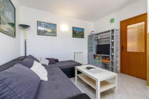 TV a/nebo společenská místnost v ubytování Apartment Nika with Balcony