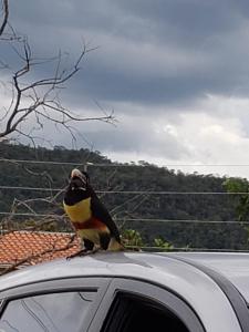 Pokrajina v okolici prenočišča