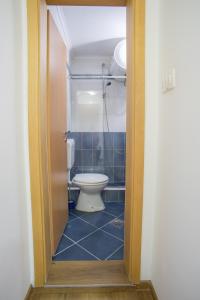 Kopalnica v nastanitvi Hotel Pavlović