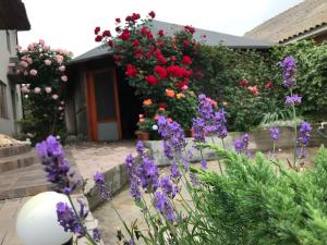 a garden with purple and purple flowers in front of a house at CASA DENIZ in 2 Mai +22 photos