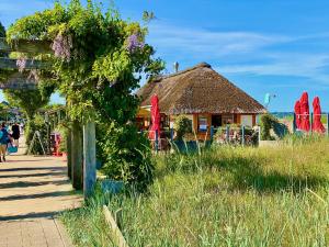 a building with a thatched roof and a building with red surfboards at Casa Raphael direkt am Scharbeutzer Strand in Scharbeutz