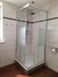 a shower with a glass door in a bathroom at Bergblick in Golling an der Salzach
