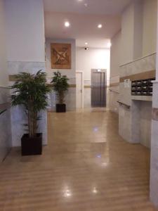 a hallway with two potted plants in a building at Hostal Alegria Alicante in Alicante