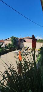 a plant with two flowers in a yard at Villa Thalia in Marinići