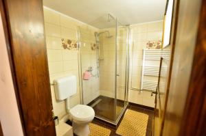 a bathroom with a toilet and a glass shower at Gyongyver Panzio in Sfântu-Gheorghe +45 photos