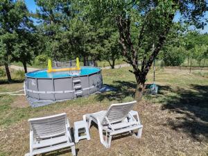 Piscina di Borsko jezero o nelle vicinanze