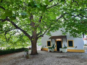 a small house with a tree in front of it at Montejunto Villas - Casa do Plátano in Cadaval