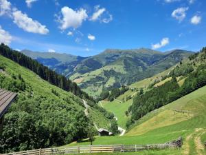 Príroda v okolí apartmánu + 9 fotografií