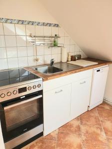 a small kitchen with a sink and a stove at Helle, moderne Altbauwohnung in Zentrumsnähe in Osnabrück