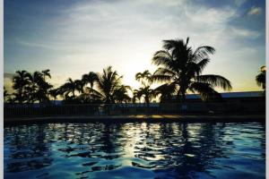 une piscine avec des palmiers et le coucher du soleil en arrière-plan dans l'établissement LES EAUX BLEUES, au Gosier