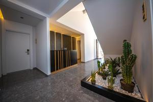 an office lobby with cactus plants in aoyer at Apart-Hotel Lili2 in Sarandë