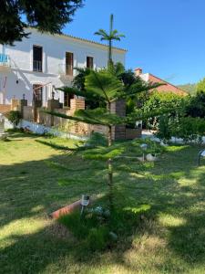 Zahrada ubytování HOTEL LUZ ALMONASTER